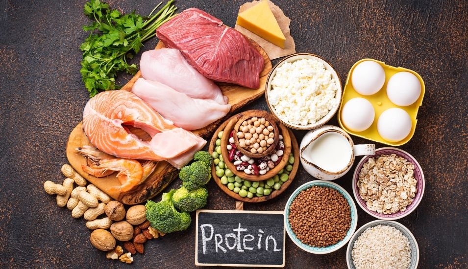 FAQ: Protein Intake & Older Adults
